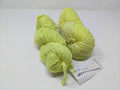 Malabrigo Worsted Fluo